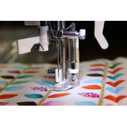 Singer Fremotion Darning foot